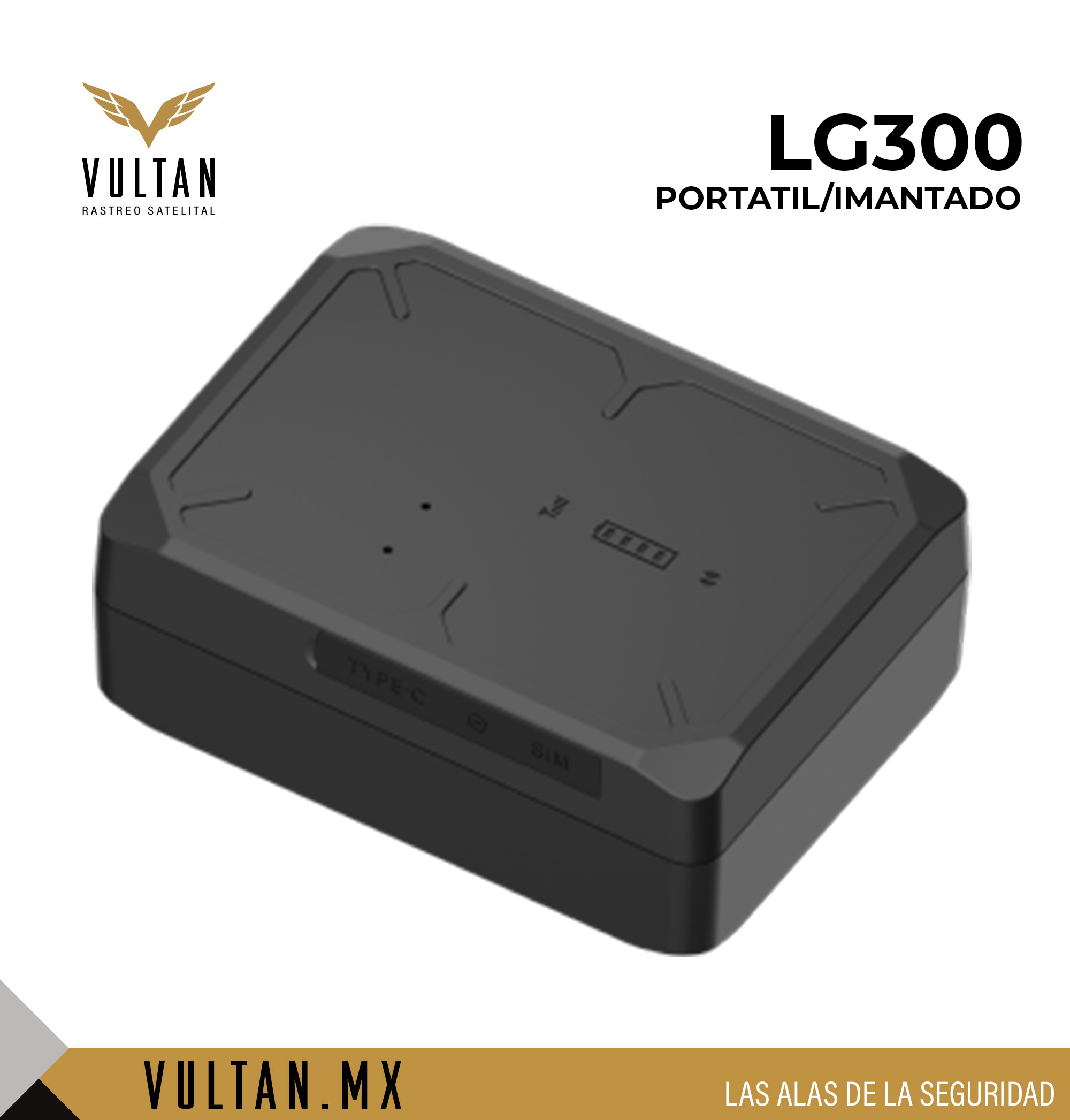 LG300